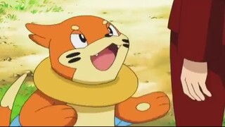 Tập 504 Bảo Bối Thần Kỳ Trọn Bộ (Pokemon (2016)) 2016 HD-VietSub