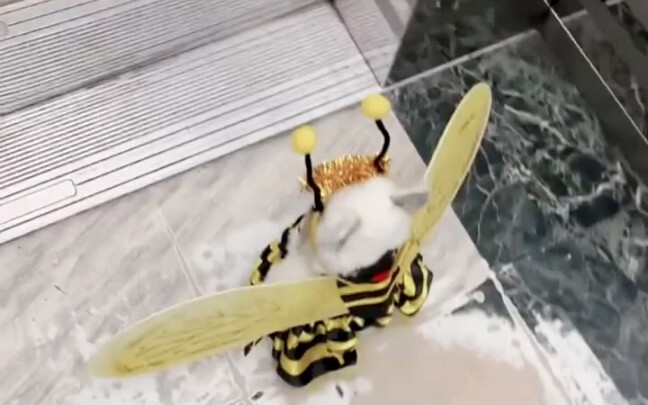 Rekomendasikan untuk dilihat oleh cewek paling imut dan lucu di dunia!