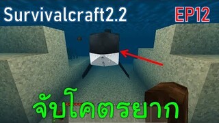 วาฬเพชฌฆาตตัวที่ 2 จับโคตรยาก Killer Whale | survivalcraft2.2 EP12 [พี่อู๊ด JUB TV]