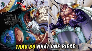 10 người có thể sức mạnh trâu bò nhất trong One Piece , Đẳng cấp tứ hoàng 1 vs 10 [One Piece 1031+]