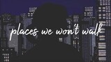 places we won't walk (cover)
