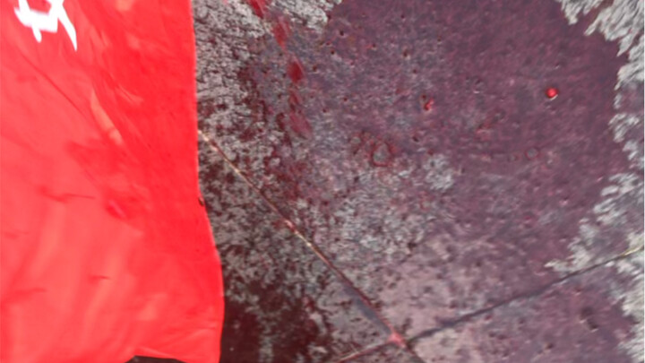 刚刚，蜜雪冰城音乐节现场，惨案发生