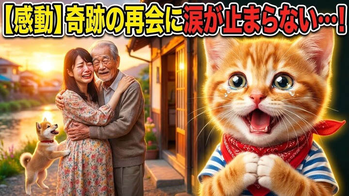 命中注定的寻找：他一直在寻找那个上天为他安排的人，一段令人动容的故事