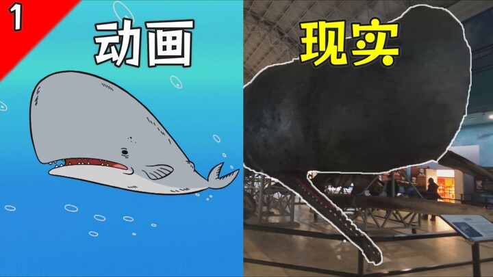 A Roundup of Real-Life Animal Prototypes Behind “SpongeBob SquarePants” Characters: Marine Mammals E