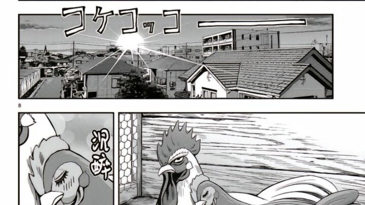 能画出这漫画的家里得请哈基高了