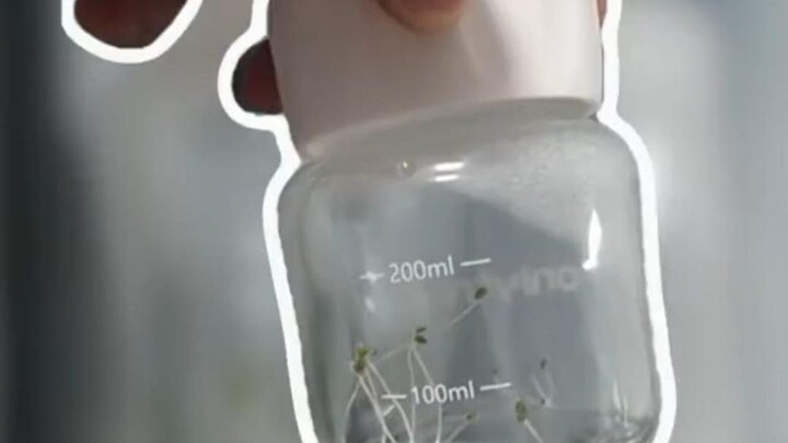 Auntie’s holding it in so tight—if I’d been there, I would’ve just dove headfirst into the burrito! 