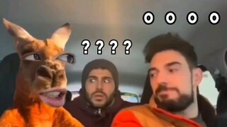 Master, what do you do for a living?