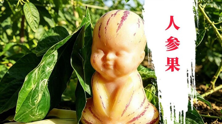 Quả nhân sâm trong nguyên tác, đổi lại thì bạn cũng chẳng dám ăn