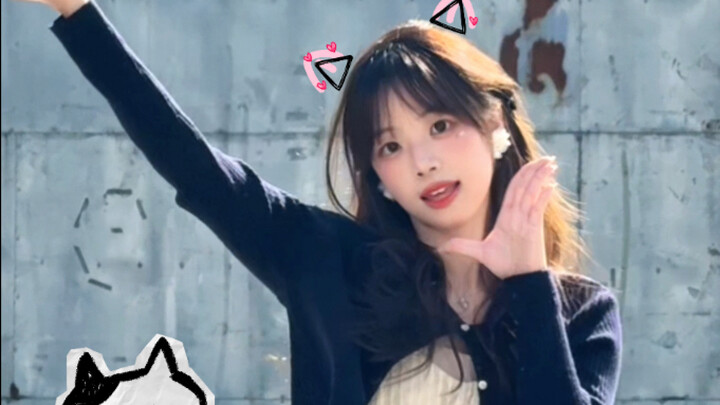 Ada kucing di depan kantin Universitas Zhejiang? Ternyata kucingnya dipinjam!