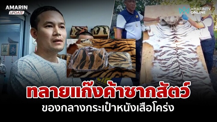 บุกทลายแก๊งค้าซากสัตว์ ตะลึง! กระเป๋า-เข็มขัด ทำจากหนังเสือโคร่ง-หนังงู | อมรินทร์อัปเดต