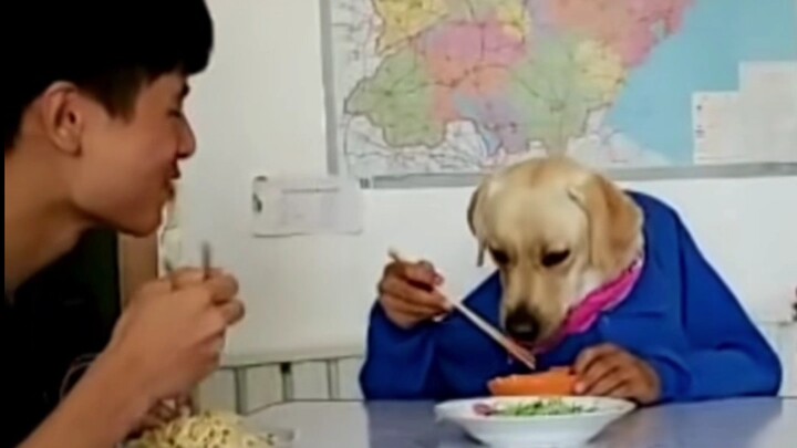 ดูใครกินเร็วกว่ากัน