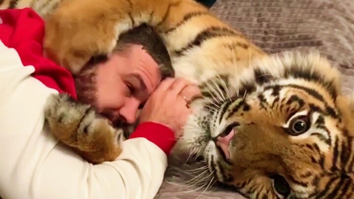 Người Nga: Bị hổ “nắm thóp”