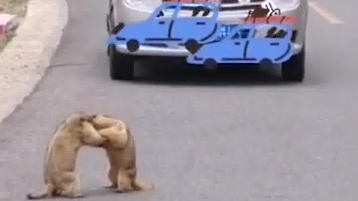 Officer, what “picking a fight” are you talking about? We were just fighting!