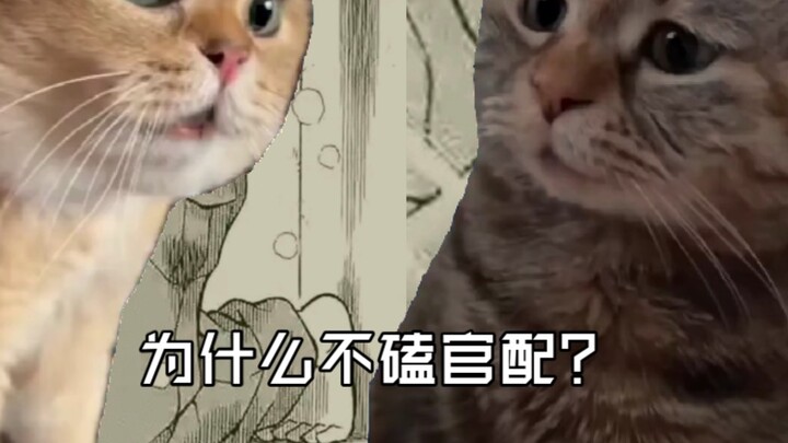 When my friends who are fans of Shinran found out that I support Shinji and Conan and Ai