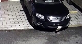 大爷就这么静静拿走了..