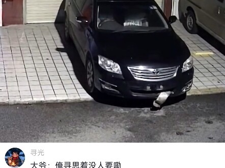 大爷就这么静静拿走了..