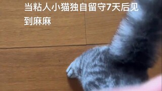 หลังจากเดินทางไปทำงานต่างจังหวัดหนึ่งสัปดาห์แล้วกลับมาถึงบ้าน ลูกแมวร้องไห้เสียงดังจนใจแทบขาด น่าสงส