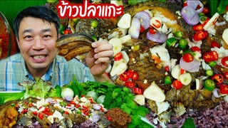 ข้าวปลาแกะกินกับปลาร้าสับ ต้มแซ่บเข้ากันหลายเด้อ -27/12/2021-