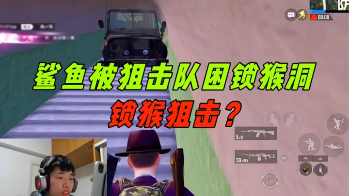 Cá mập lại ủng hộ Điêu Ca tự mình làm việc? Bị mắc kẹt trong hầm phòng không còn bị chửi khi lên són