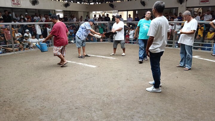 Pateros colosseum win sweater white