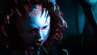 一切恐惧皆来自火力不足！