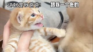 The aftermath was as dramatic as a TV series—out of nowhere, he unexpectedly became a dad...