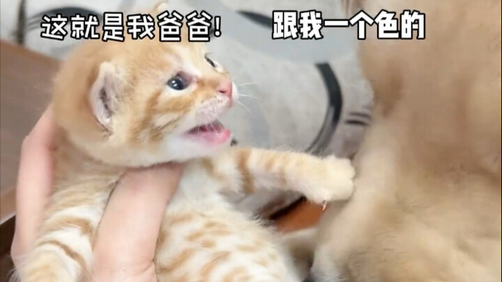 The aftermath was as dramatic as a TV series—out of nowhere, he unexpectedly became a dad...