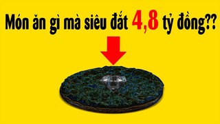 5 Món ăn đắt giá nhất hành tinh - Làm cả đời không đủ ăn 1 lần