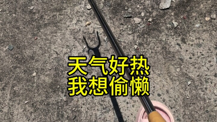 อากาศร้อนจนฉันอยากอดอาหาร