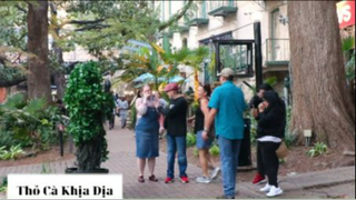 Thỏ biết đi 1 #thobiettroll