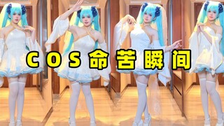 论 c o s e r  能 有 多 命 苦