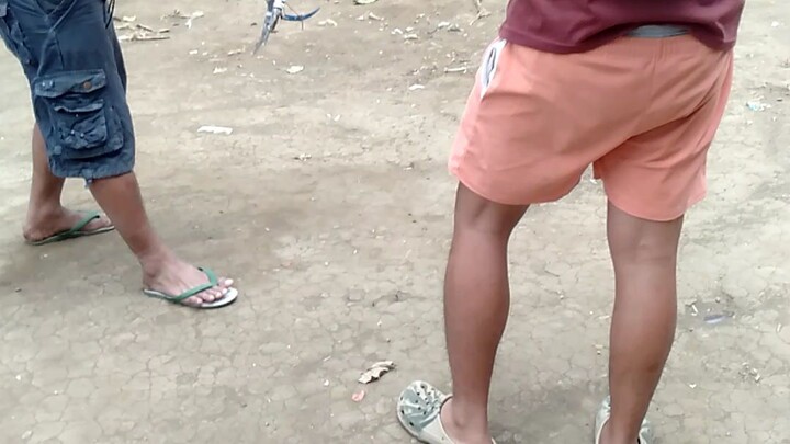 try lng mga boss..3/4 white kelso x 1/4 gilmore