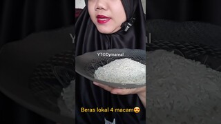DYMA |ASMR RAW RICE EATING |Makan Beras | asmrrawriceeating| #asmrsounds  #asmr #shorts #mukbang
