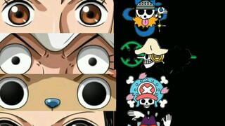 strawhats crew