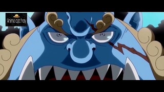 Rap ve Jinbei #Animecuchay #schooltime