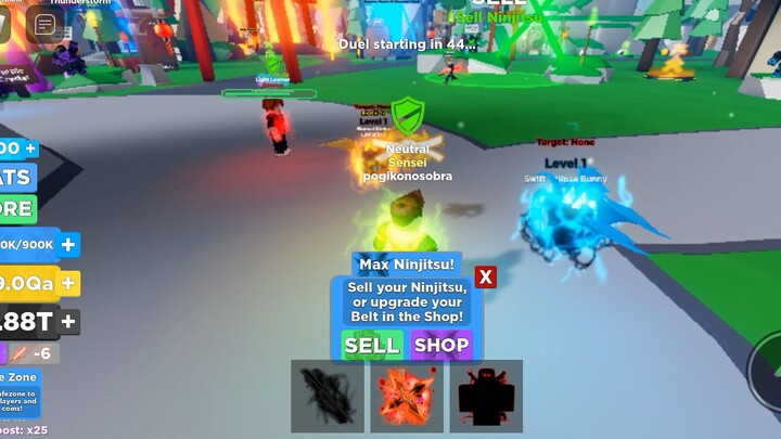 give me pet in ninja legends add me🙏