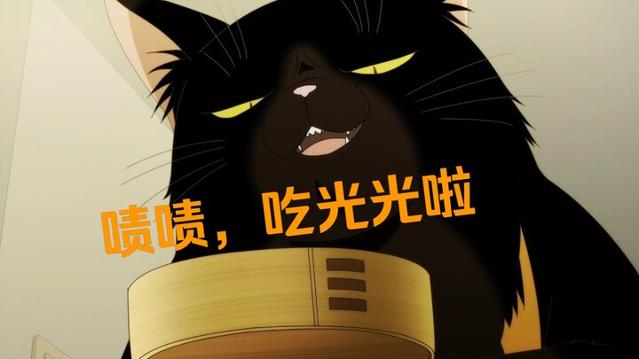 猫猫：啧啧，吃完了耶~~