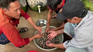 Hàng Hiếm Món Ăn Của Nhà Giàu - TVQT.545
