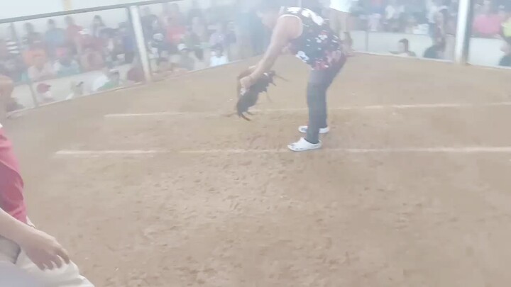 2 hits tsamba 2nd fight
