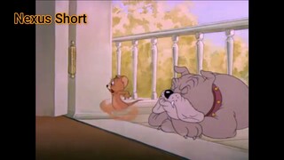 Tom & Jerry (Ep 5.1) Dog Trouble (phần 1) #TomandJerry