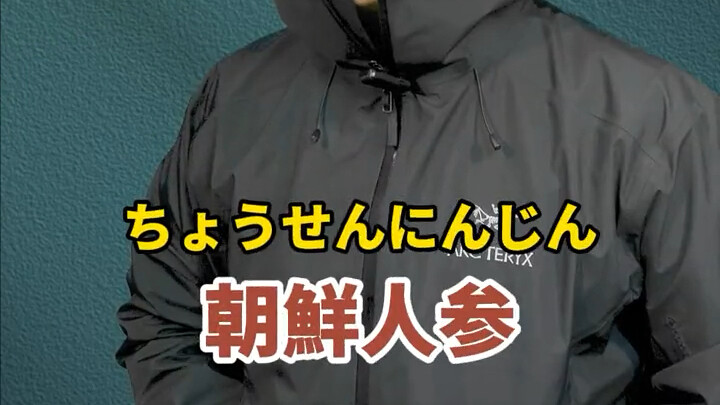 ไท่หยวนไคฟุภาษาญี่ปุ่น【โสม】