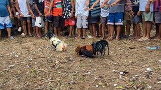 Fun run sa unang araw ng taong 2025 0-1.