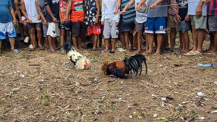 Fun run sa unang araw ng taong 2025 0-1.