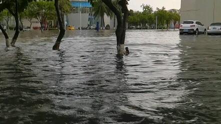 أحدث تخفيضات القبول في جامعة هاينان