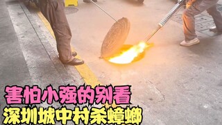 Cockroaches are killed in a village in the city of Shenzhen. The scene is so horrifying that it kill