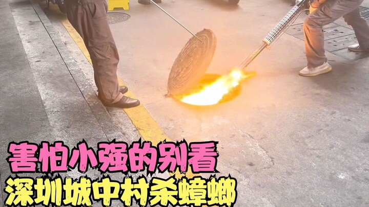 Cockroaches are killed in a village in the city of Shenzhen. The scene is so horrifying that it kill