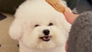 Even when I saw a puppy for the first time, I grinned! !