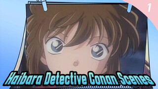 Haibara Detective Conan Scenes_1