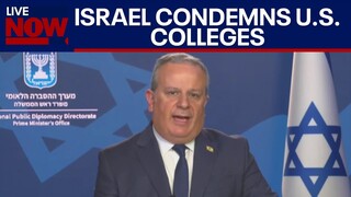 Israel-Hamas war: Israel calls out US Pro-Palestine college protests | LiveNOW from FOX