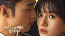 Undercover Affair (2024) Eps 13-16 Sub Indo